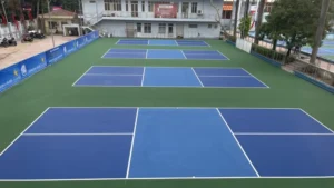 giá sơn sân pickleball mới