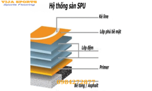 Cấu tạo sân Pickleball